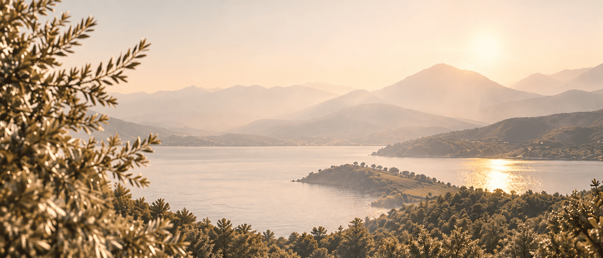 Peaceful lake surrounded by hills and olive trees